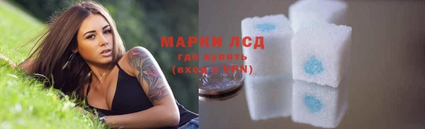 соль ск Надым