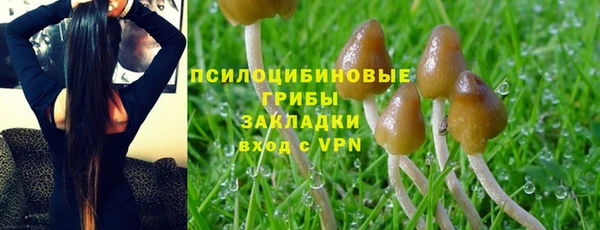ПСИЛОЦИБИНОВЫЕ ГРИБЫ Алексин